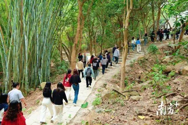 来五桂山解锁“绿野仙踪”开元棋牌一山一道一专线(图3) 来五桂山解锁“绿野仙踪”开元棋牌一山一道一专线(图3)